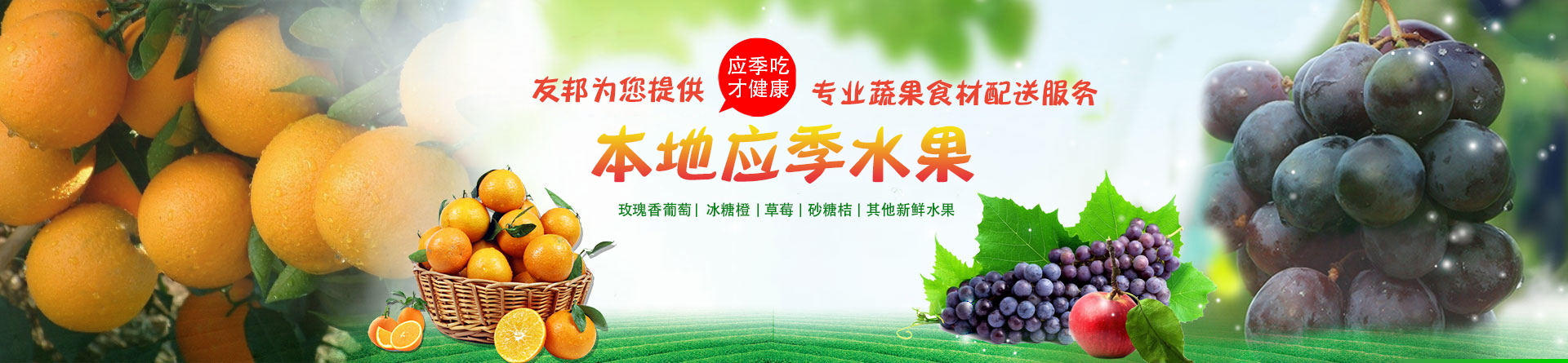 郴州市友邦生态农业开发有限公司_蔬菜配送公司|郴州食材配送|郴州蔬菜配送|食堂配送