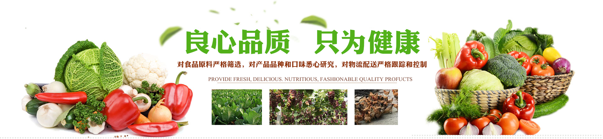 郴州市友邦生态农业开发有限公司_蔬菜配送公司|郴州食材配送|郴州蔬菜配送|食堂配送